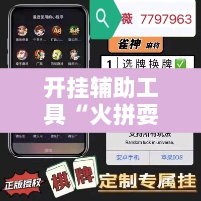 开挂辅助工具“火拼耍大牌有挂没	”开挂辅助脚本+详细开挂安装教程