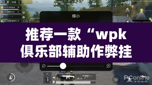 推荐一款“wpk俱乐部辅助作弊挂透视挂”(透视)其实确实有挂