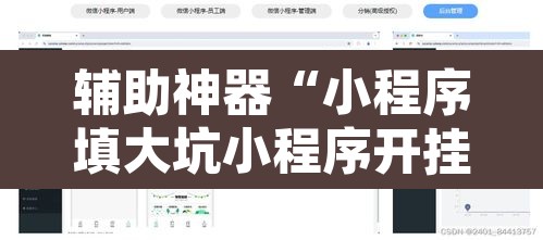 辅助神器“小程序填大坑小程序开挂下载	”开挂辅助脚本+详细开挂安装教程