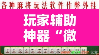玩家辅助神器“微乐陕西麻将免费开挂神器”附辅助神器开挂脚本详细步骤