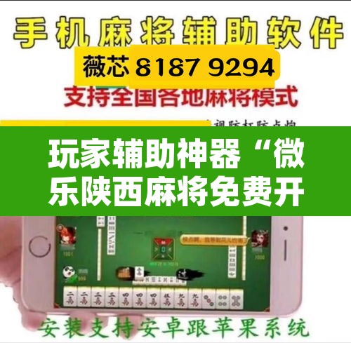 玩家辅助神器“微乐陕西麻将免费开挂神器	”附辅助神器开挂脚本详细步骤