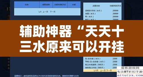 辅助神器“天天十三水原来可以开挂”附辅助神器开挂脚本详细步骤