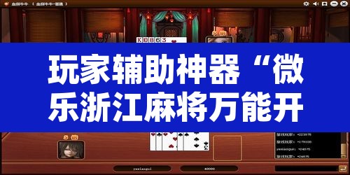 玩家辅助神器“微乐浙江麻将万能开挂器通用版”开挂辅助脚本+详细开挂安装教程