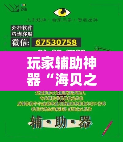 玩家辅助神器“海贝之城拼三张透视软件”附辅助神器开挂脚本详细步骤