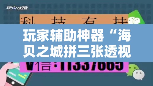 玩家辅助神器“海贝之城拼三张透视软件	”附辅助神器开挂脚本详细步骤