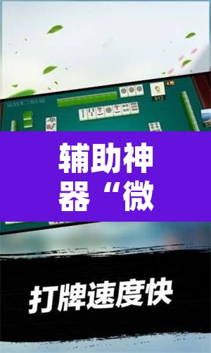 辅助神器“微乐斗地主外卦神器下载”其实确实有挂