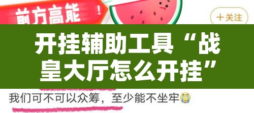 开挂辅助工具“战皇大厅怎么开挂”开挂辅助脚本+详细开挂安装教程
