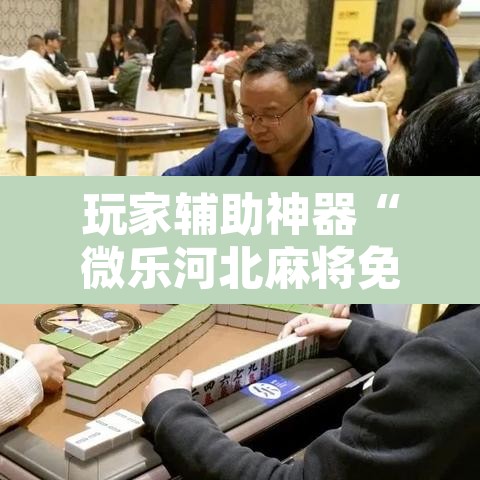 玩家辅助神器“微乐河北麻将免费房间怎么开挂”附辅助神器开挂脚本详细步骤