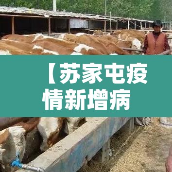 【苏家屯疫情新增病例·苏家屯疫情新增病例轨迹】