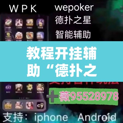 教程开挂辅助“德扑之星辅助下载教程”(透视挂)辅助透视教程