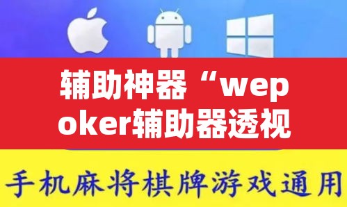 辅助神器“wepoker辅助器透视挂”其实确实有挂