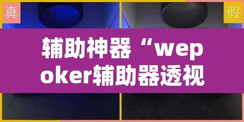 辅助神器“wepoker辅助器透视挂”其实确实有挂