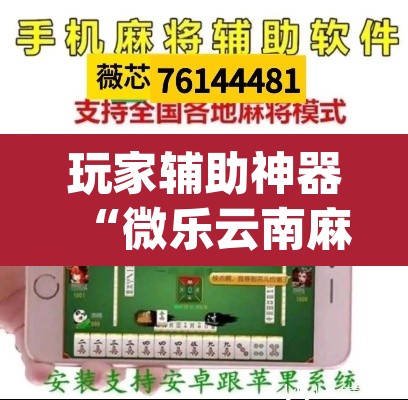 玩家辅助神器“微乐云南麻将开挂神器下载”(透视挂)辅助透视教程