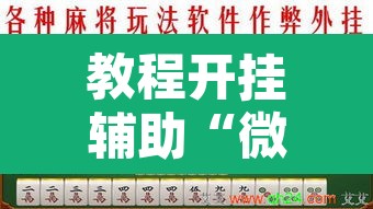 教程开挂辅助“微乐海南麻将开挂神器	”其实确实有挂
