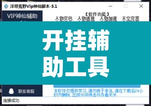 开挂辅助工具“德扑之星透视开挂”开挂辅助脚本+详细开挂安装教程