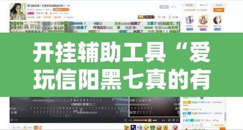 开挂辅助工具“爱玩信阳黑七真的有挂吗	”(透视)其实确实有挂