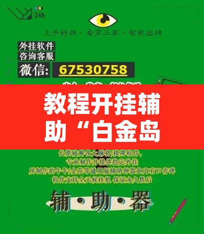 教程开挂辅助“白金岛三打哈挂	”开挂辅助脚本+详细开挂安装教程