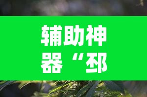 辅助神器“邳州友友麻将开挂神器”(透视)其实确实有挂