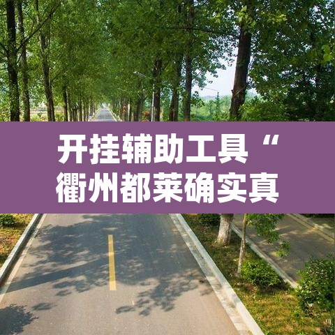 开挂辅助工具“衢州都莱确实真的有挂	”(透视)其实确实有挂