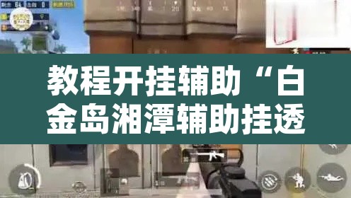教程开挂辅助“白金岛湘潭辅助挂透视教程”其实确实有挂
