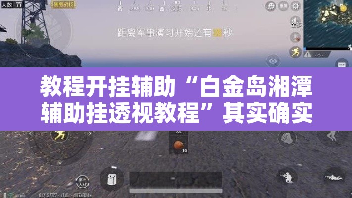 教程开挂辅助“白金岛湘潭辅助挂透视教程”其实确实有挂