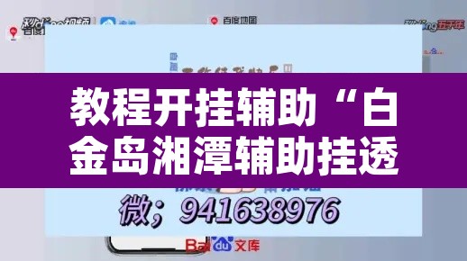 教程开挂辅助“白金岛湘潭辅助挂透视教程	”其实确实有挂