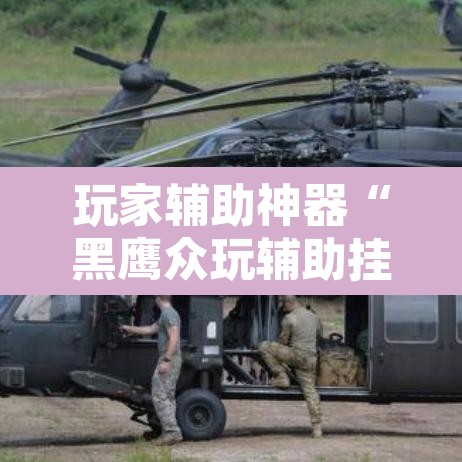 玩家辅助神器“黑鹰众玩辅助挂	”其实确实有挂