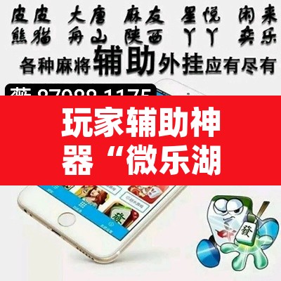 玩家辅助神器“微乐湖南麻将万能开挂器”其实确实有挂