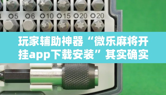玩家辅助神器“微乐麻将开挂app下载安装”其实确实有挂