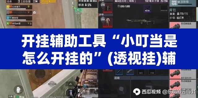 开挂辅助工具“小叮当是怎么开挂的”(透视挂)辅助透视教程
