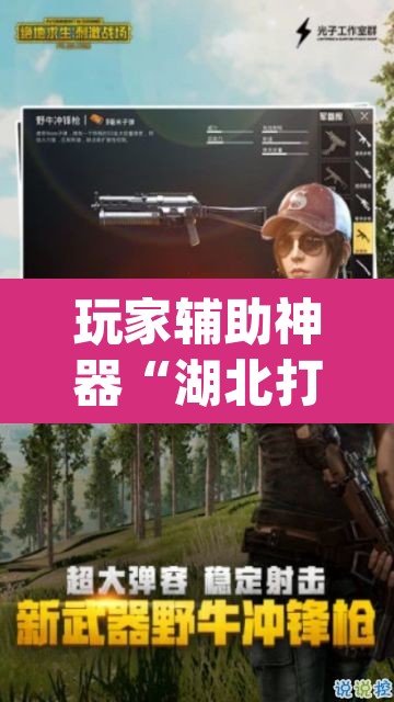 玩家辅助神器“湖北打滚要怎么开挂开挂	”(透视)其实确实有挂