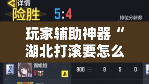 玩家辅助神器“湖北打滚要怎么开挂开挂”(透视)其实确实有挂