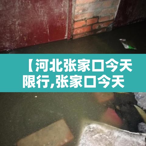 【河北张家口今天限行,张家口今天限行车号】