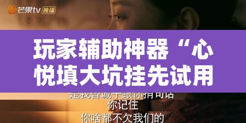 玩家辅助神器“心悦填大坑挂先试用后付款”其实确实有挂