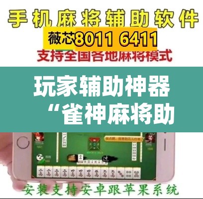 玩家辅助神器“雀神麻将助赢神器购买”(透视)其实确实有挂