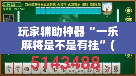 玩家辅助神器“一乐麻将是不是有挂”(透视)其实确实有挂