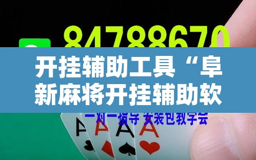 开挂辅助工具“阜新麻将开挂辅助软件	”其实确实有挂