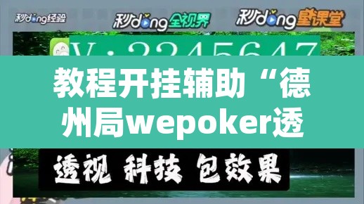 教程开挂辅助“德州局wepoker透视挂方法	”其实确实有挂