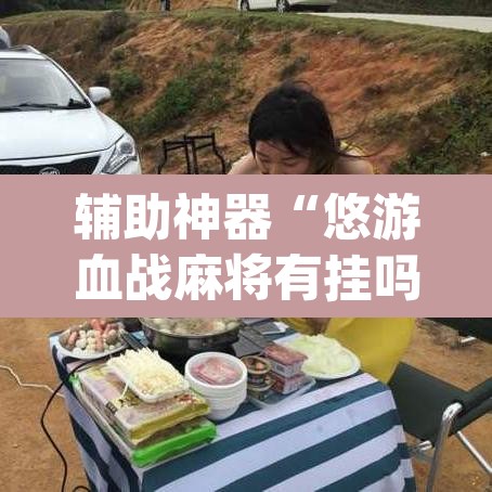 辅助神器“悠游血战麻将有挂吗”(透视挂)辅助透视教程