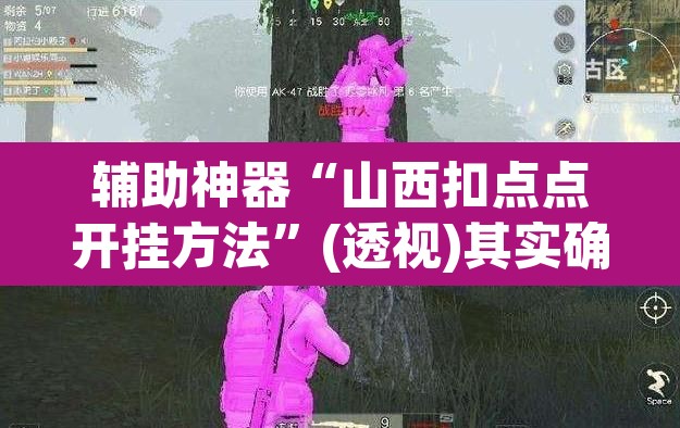辅助神器“山西扣点点开挂方法”(透视)其实确实有挂