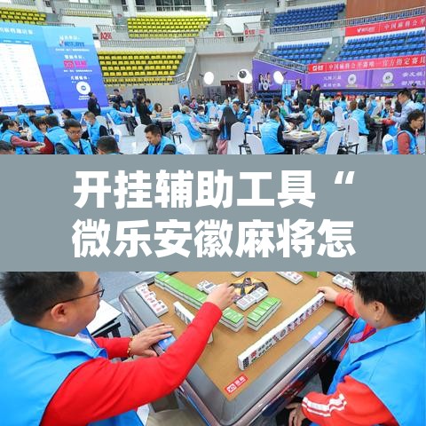 开挂辅助工具“微乐安徽麻将怎样免费开挂	”(透视挂)辅助透视教程