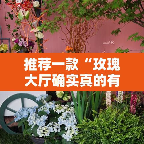 推荐一款“玫瑰大厅确实真的有挂	”其实确实有挂