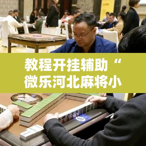教程开挂辅助“微乐河北麻将小程序万能挂免费版	”(透视)其实确实有挂