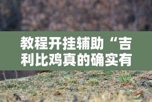 教程开挂辅助“吉利比鸡真的确实有挂	”其实确实有挂