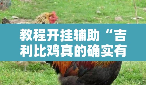 教程开挂辅助“吉利比鸡真的确实有挂”其实确实有挂