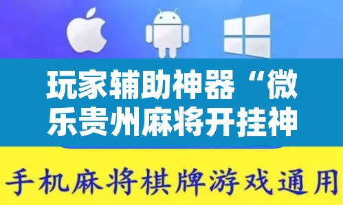 玩家辅助神器“微乐贵州麻将开挂神器	”其实确实有挂