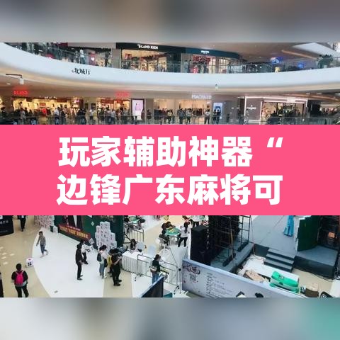 玩家辅助神器“边锋广东麻将可不可以开挂	”开挂辅助脚本+详细开挂安装教程