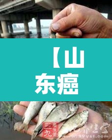 【山东癌症村·山东癌症高发县市排行】 【山东癌症村·山东癌症高发县市排行】