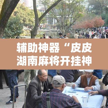 辅助神器“皮皮湖南麻将开挂神器	”(透视)其实确实有挂