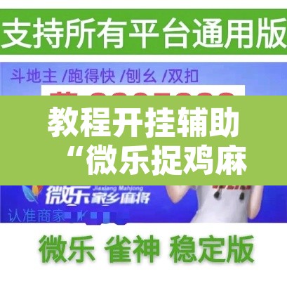 教程开挂辅助“微乐捉鸡麻将开挂器下载安装”开挂辅助脚本+详细开挂安装教程